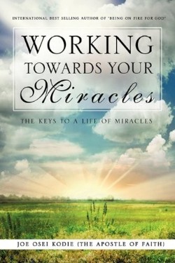 9781609578404 Working Towards Your Miracles