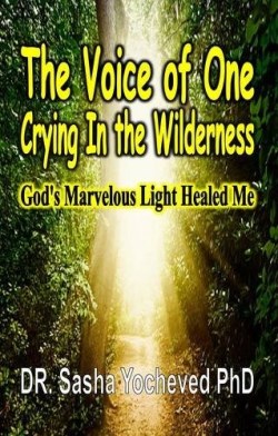 9781626769908 Voice Of One Crying In The Wilderness