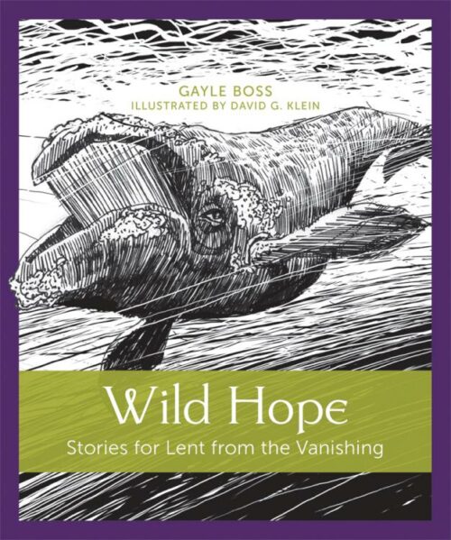 9781640601994 Wild Hope : Stories For Lent From The Vanishing