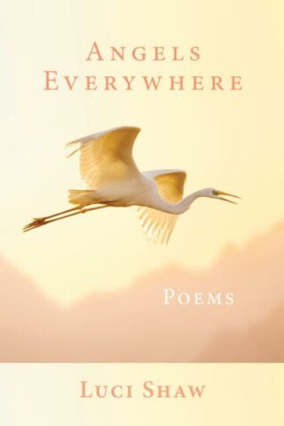 9781640607200 Angels Everywhere : Poems