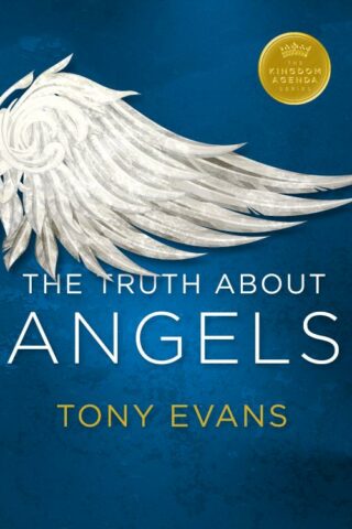 9780802414328 Truth About Angels