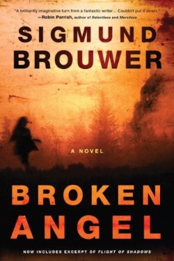 9780307457196 Broken Angel : A Novel