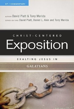 9780805496581 Exalting Jesus In Galatians