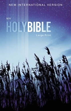 9780310446378 Outreach Bible Large Print