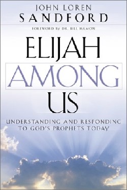 9780800793036 Elijah Among Us (Reprinted)