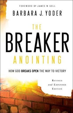 9780800798109 Breaker Anointing Revised And Expanded