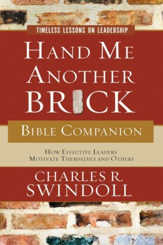 9781418527518 Hand Me Another Brick Bible Companion