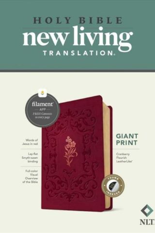 9781496482303 Giant Print Bible Filament Enabled Edition