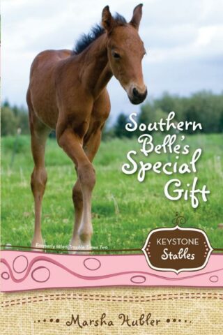 9780310717942 Southern Belles Special Gift