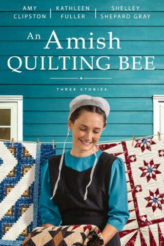 9780310365853 Amish Quilting Bee