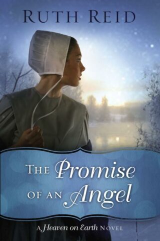 9780718084776 Promise Of An Angel