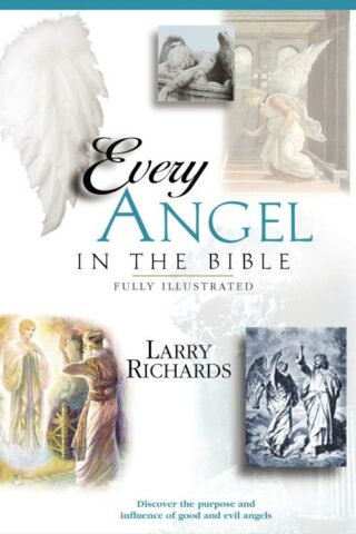 9780785245339 Every Angel In The Bible