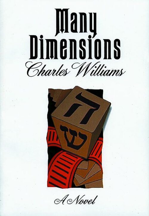 9780802812216 Many Dimensions : A Novel