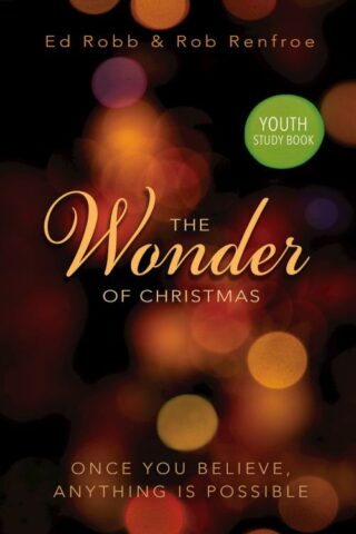 9781501823343 Wonder Of Christmas Youth Study Book (Student/Study Guide)