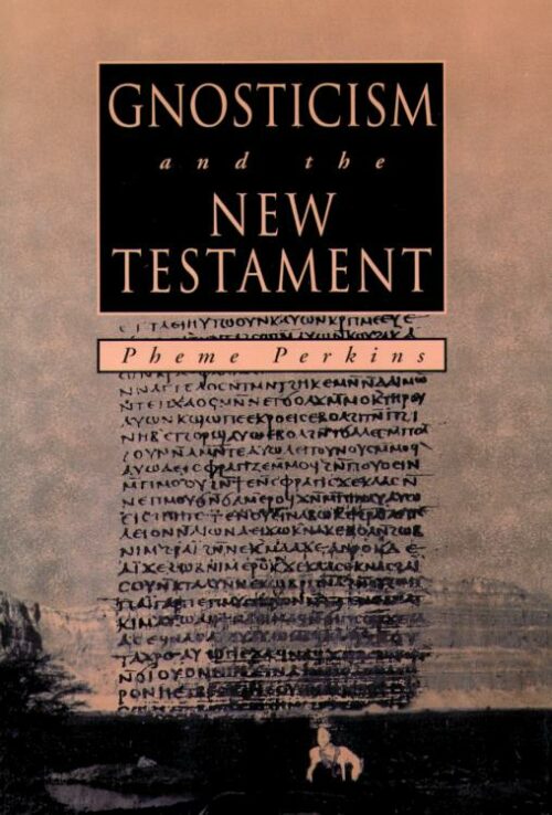 9780800628017 Gnosticism And The New Testament