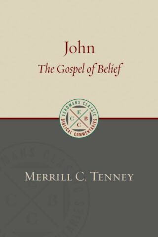 9780802875860 John : The Gospel Of Belief