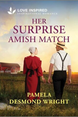 9781335936714 Her Surprise Amish Match