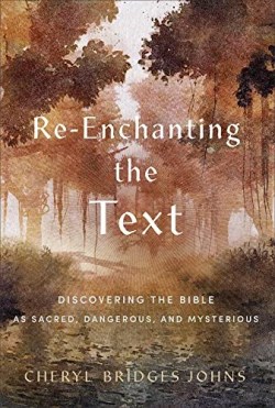 9781540965615 ReEnchanting The Text