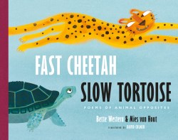 9780802856357 Fast Cheetah Slow Tortoise