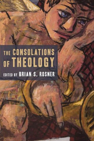 9780802860408 Consolations Of Theology