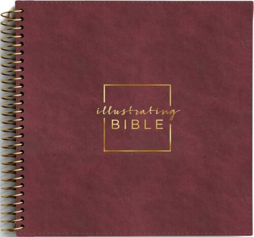 9798886028621 Illustrating Bible