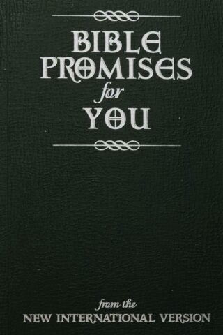 9780310803881 Bible Promises For You NIV