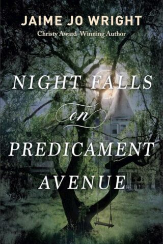 9780764242915 Night Falls On Predicament Avenue