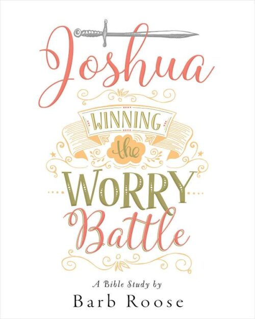 9781501813603 Joshua Participant Workbook (Student/Study Guide)