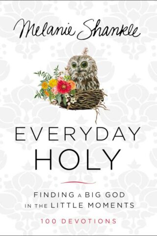 9780310346685 Everyday Holy : Finding A Big God In The Little Moments 100 Devotions