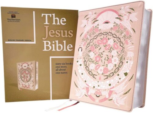 9780310460183 Jesus Bible Artist Edition