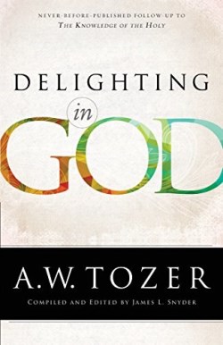 9780764217012 Delighting In God (Reprinted)