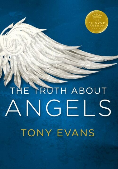 9780802414328 Truth About Angels