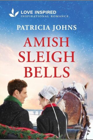 9781335936882 Amish Sleigh Bells