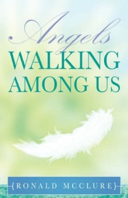 9781604775617 Angels Walking Among Us