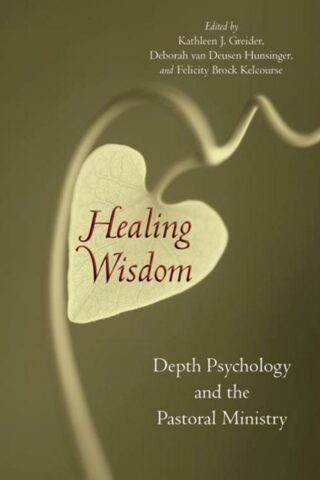 9780802862549 Healing Wisdom : Depth Psychology And The Pastoral Ministry