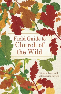 9781506496351 Field Guide To Church Of The Wild