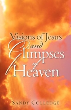 9781602665316 Visions Of Jesus And Glimpses Of Heaven