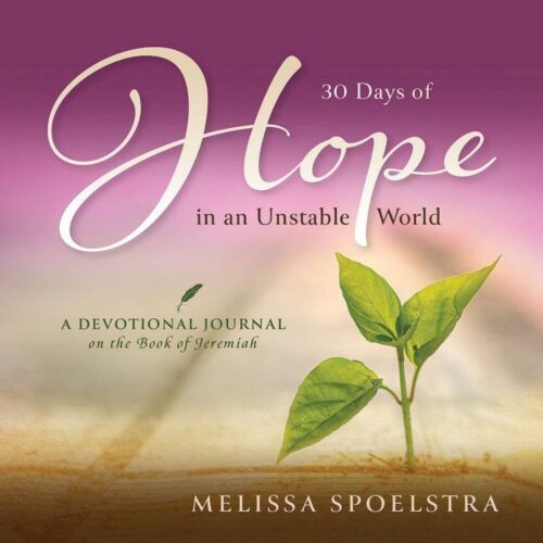 9781791039257 30 Days Of Hope In An Unstable World