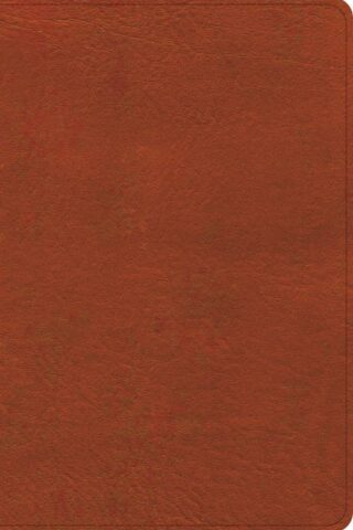 9798384523550 Study Bible Personal Size Digital Study Edition