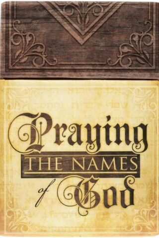 6006937143241 Praying the Names of God