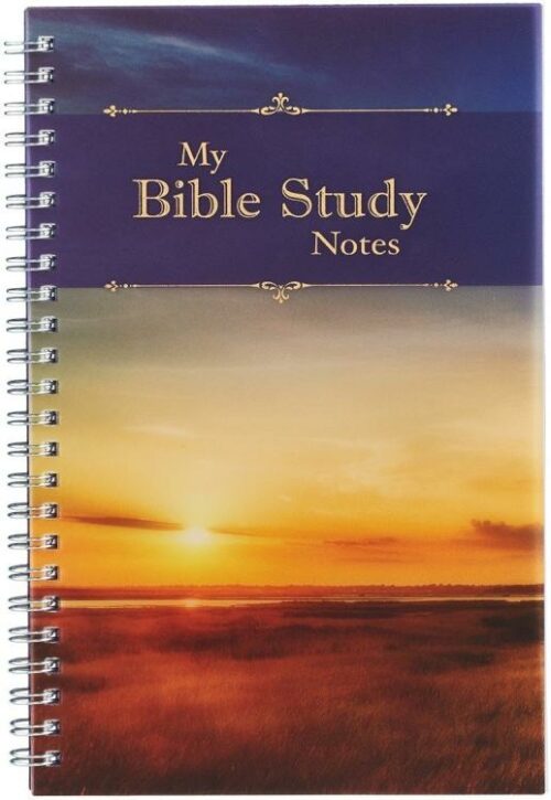 6006937132047 My Bible Study Notes Wirebound Notebook