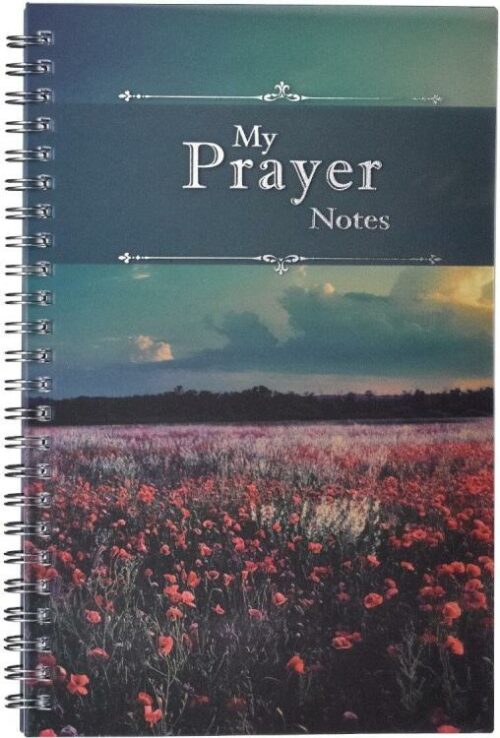 6006937132054 My Prayer Notes Wirebound Notebook