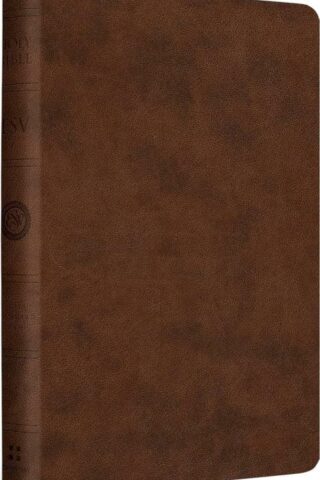 9798874902780 Value Compact Bible
