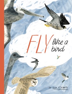 9780802856456 Fly Like A Bird