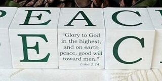 785525320498 Peace Block Set