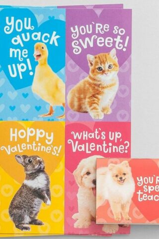 081983606182 Baby Animals Childrens Valentines