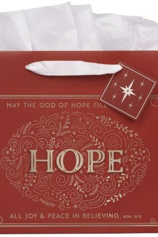 1220000327030 Large Landscape Inspirational Christmas Gift Bag