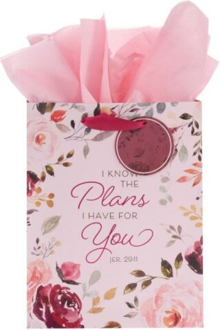 1220000138384 Gift Bag w/Tissue Paper Set: I Know the Plans Jeremiah 29:11 Bible Verse
