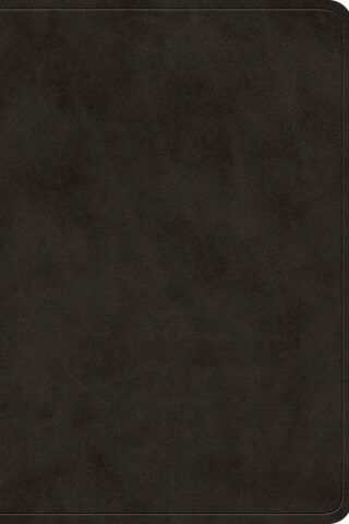 9798874903053 Value Large Print Compact Bible