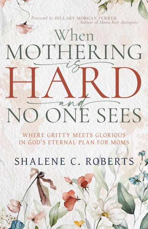 9798887696164 When Mothering Is Hard And No One Sees